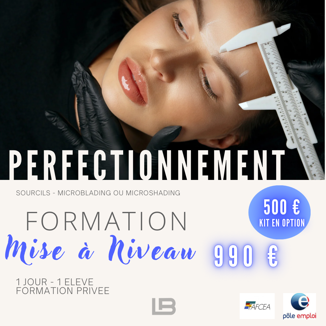 Stage de Perfectionnement Microblading & Microshading