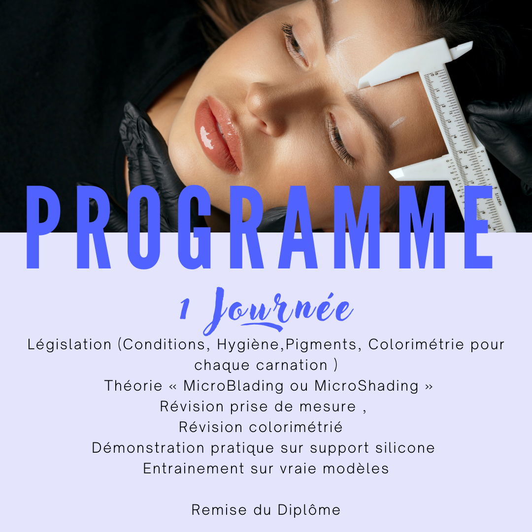 Stage de Perfectionnement Microblading & Microshading